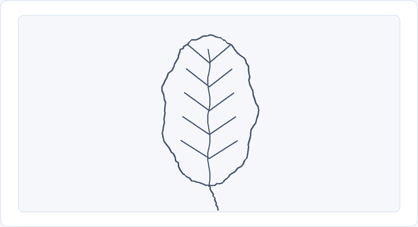 A slow contour drawing of a leaf with a slightly wavering outline, a central vein, side veins and a short stem.