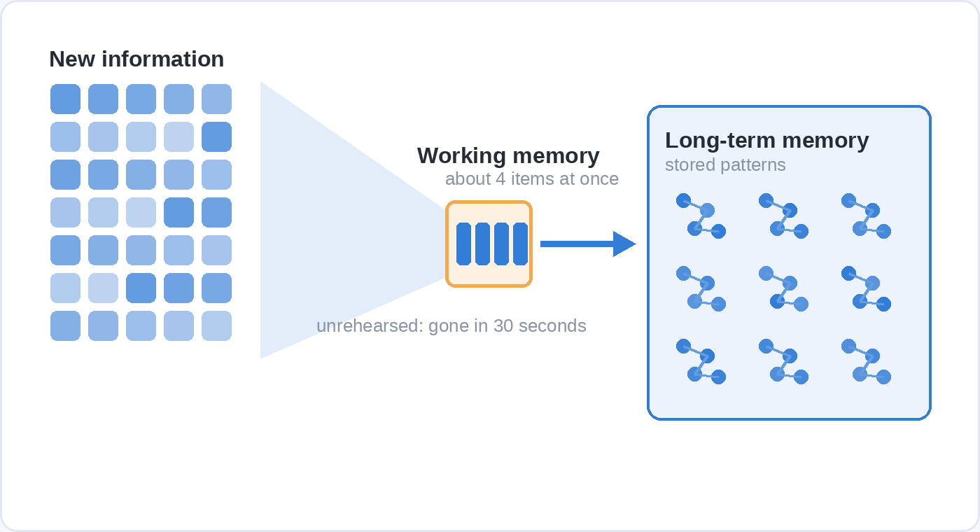 A diagram showing new information narrowing through working memory, which holds about four items at once, into long-term memory as stored patterns.